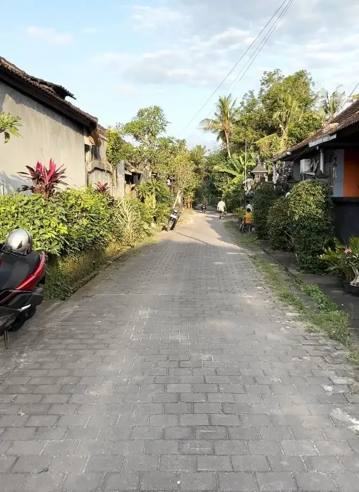Tanah istimewa dijual di KEDUNGU - Tabanan - Image 5 of 5
