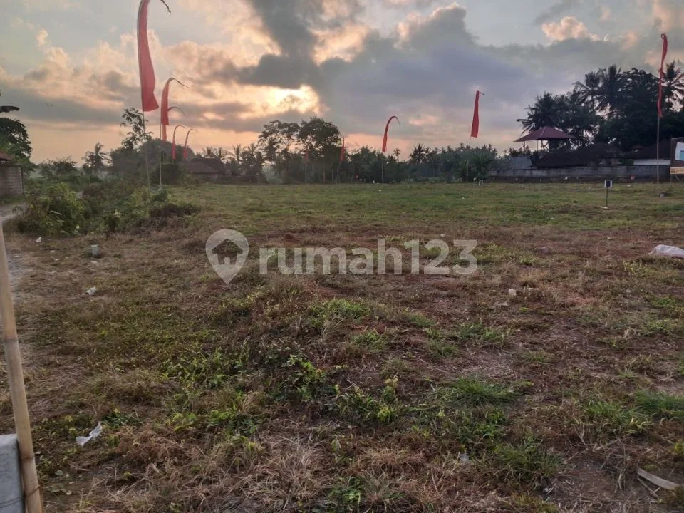 Rumah semi vila harga terjangkau lingkungan nyaman diubud - Image 3 of 4