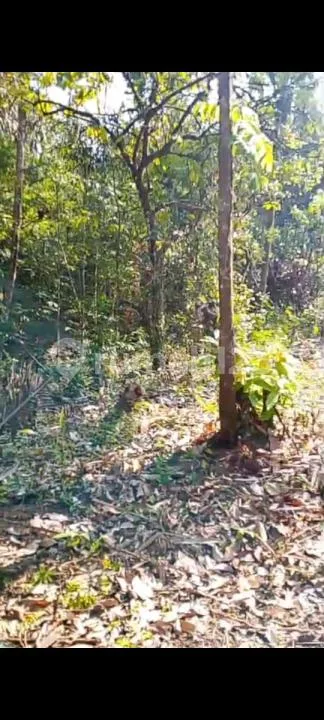 Dijual Tanah Lokasi di Munduk Bajera Utara View Sungai - Image 4 of 4