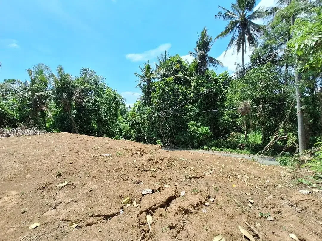 Tanah Disewakan atau Dijual  Dekat Pantai di Permata Pering - Saba - Image 4 of 10
