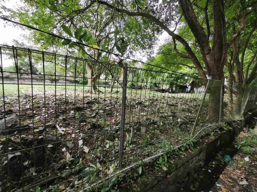 dijual tanah 1,7 M /ARE DEPAN PANTAI KEDONGANAN BADUNG BALI - Image 4 of 10
