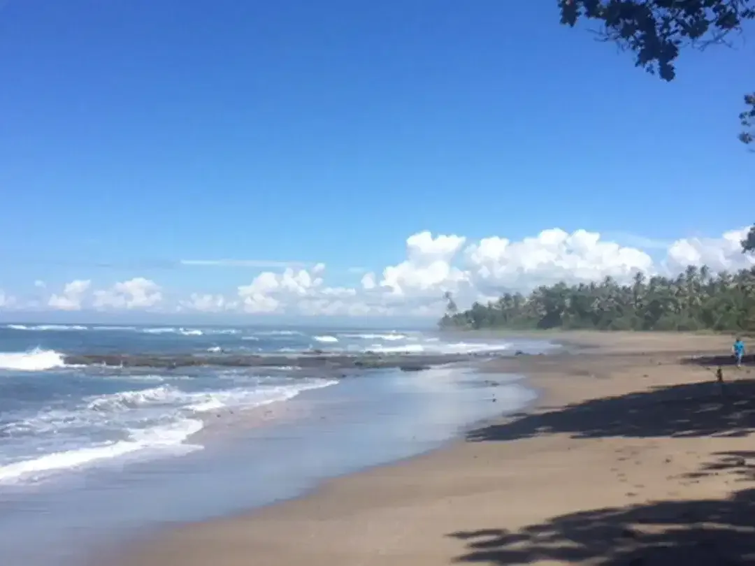 Amazing 37,915 Sqm Beachfront Freehold Land In Jembrana Negara - Image 2 of 10