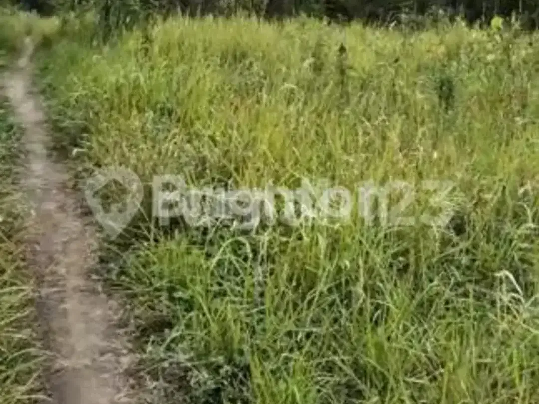 Tanah Luas 260 Are - Jalan Ida Bagus Mantra, Klungkung Lokasi Strategis Seberang Rs Graha Medika Klungkung Bali Cocok untuk Resort /Perumahan - Image 7 of 7