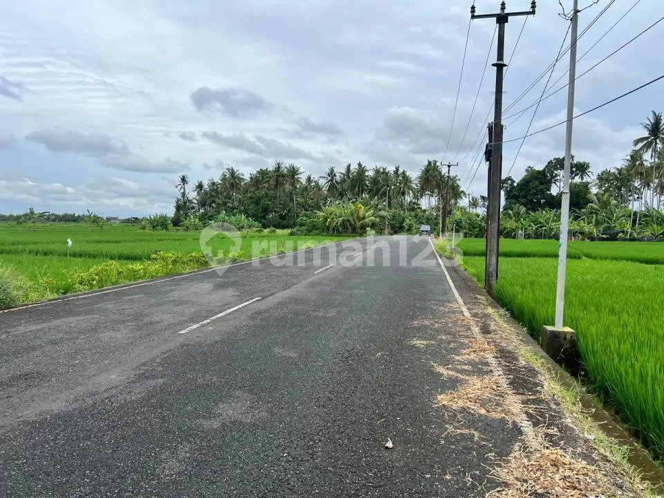 Tanah Dekat Beach Glamping Kedungu Shm 1130.0 MÂ² - Image 3 of 4