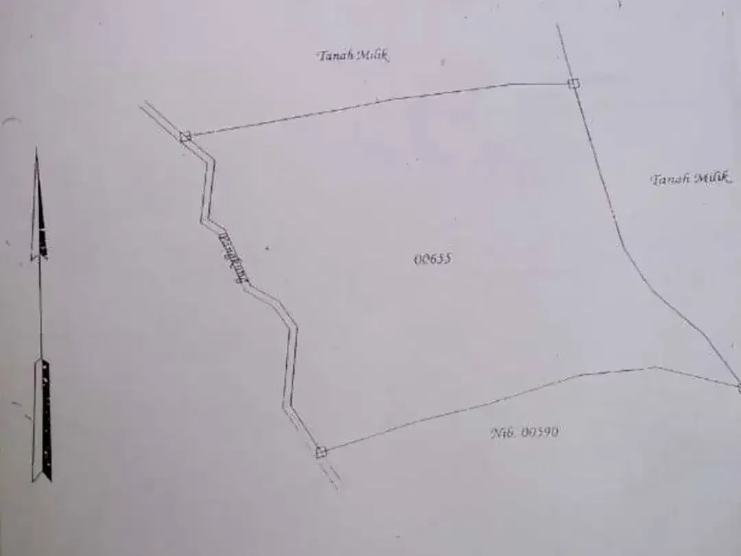 Disewakan Leasehold Tanah 225 Are Gerokgak Buleleng Singaraja Bali - Image 8 of 8
