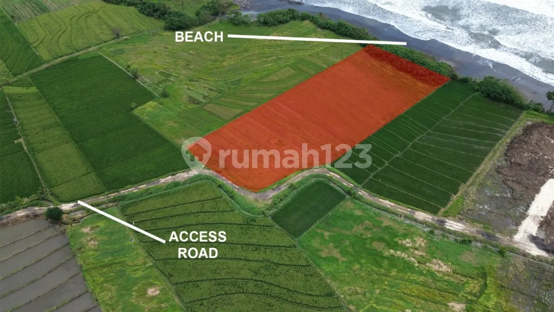 Tanah Los Pantai Cocok untuk Resort,Pantai Kelating,Tabanan - Image 4 of 4