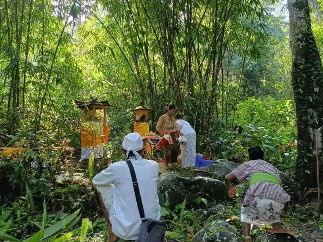 TANAH COCOK UNTUK RESORT DI WANAGIRI TABANAN - Image 6 of 10