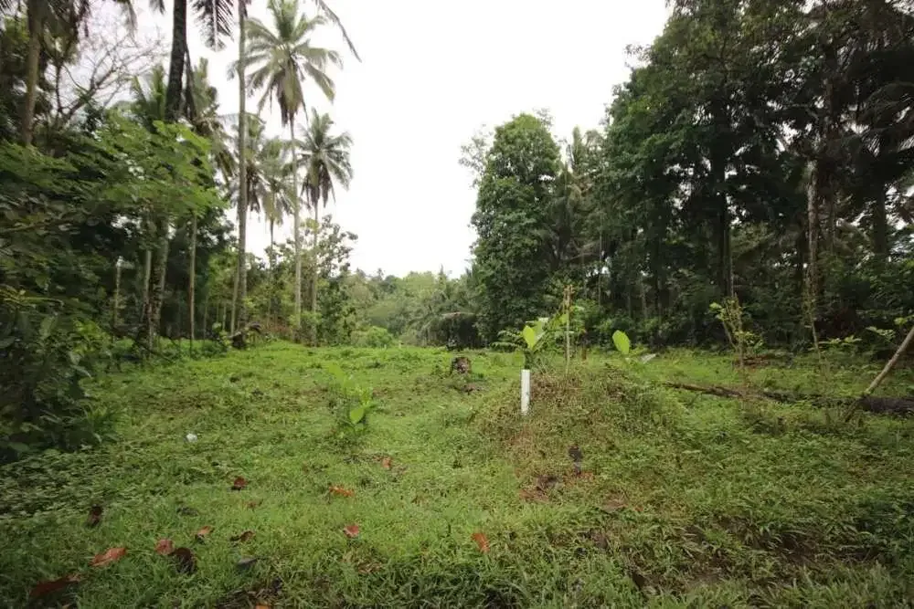 DIJUAL TANAH KEBUN COCOK UNTUK PERUMAHAN - Image 7 of 7