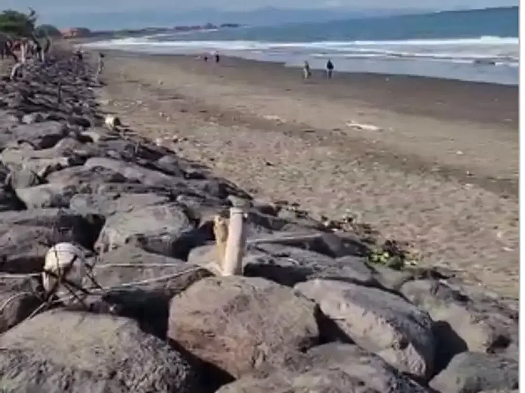 Tanah Loss Pantai di Padang Galak Sanur - Image 10 of 10