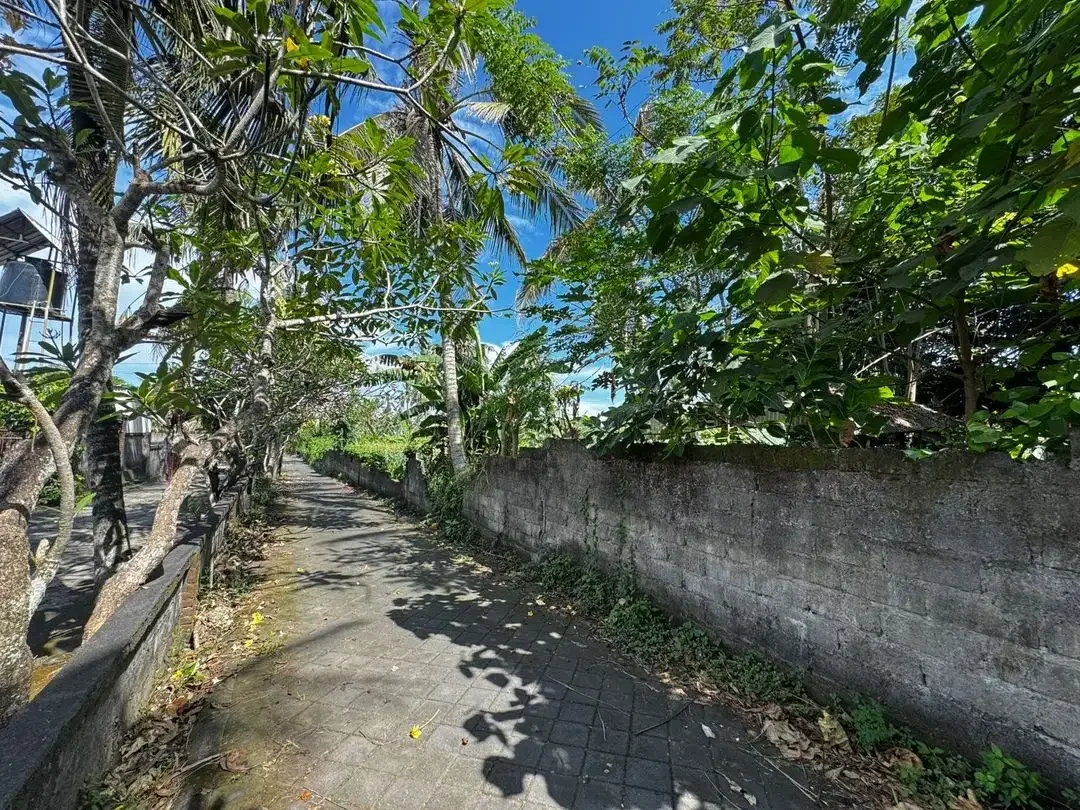 Potential tourism market leasehold lands Saba Beach - Image 8 of 10