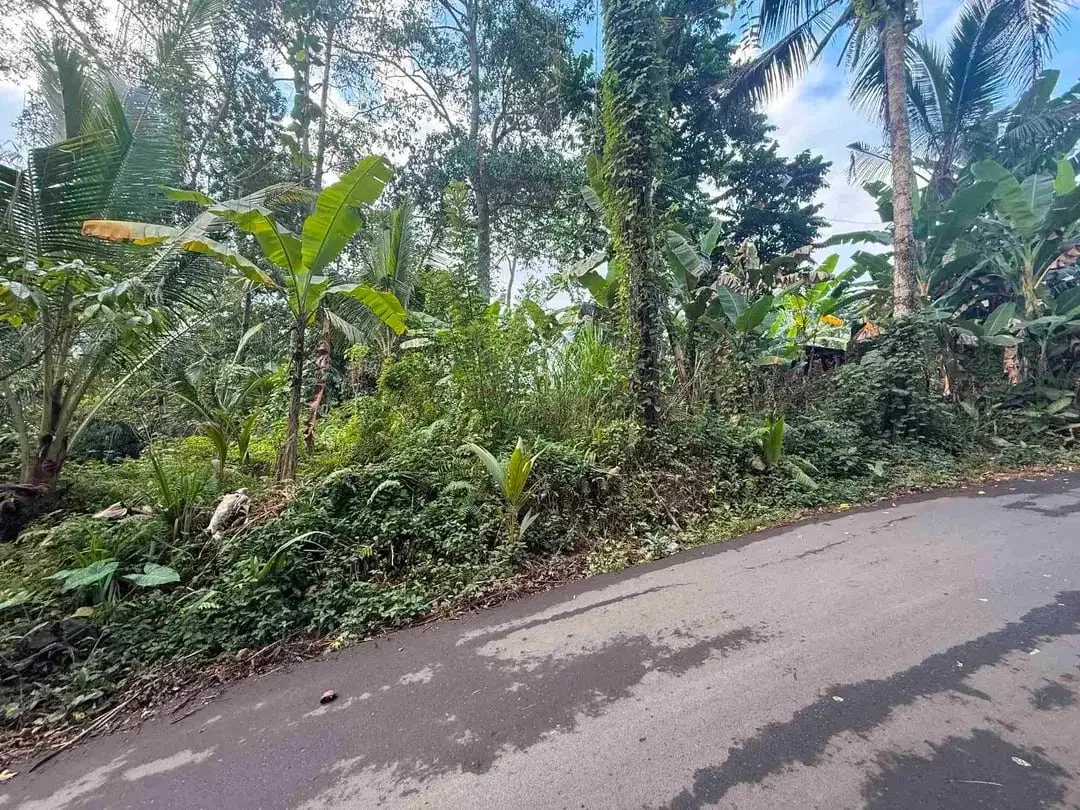 Tanah Premium Payangan View Jungle Dekat Resort - Image 9 of 10