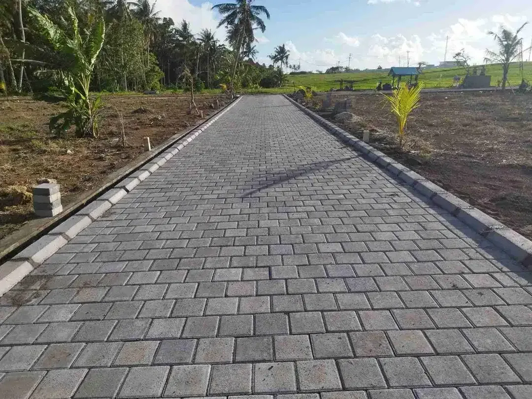 Tanah Kavling Walking Distance ke Pantai Pasut Tabanan - Image 4 of 9