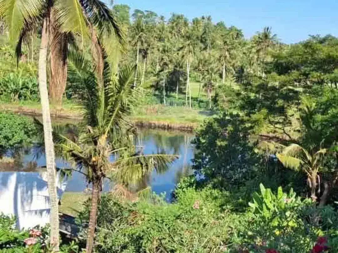 Dijual villa view pantai siap huni, Jembrana - Image 10 of 10