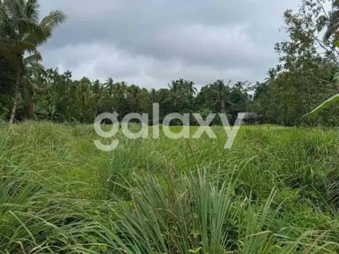 DIJUAL TANAH DAERAH PETANG BADUNG BALI - Image 5 of 9