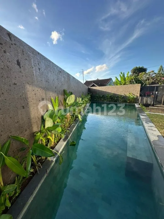 Brand New Villa Cepaka Munggu - Dekat Canggu - Image 2 of 4