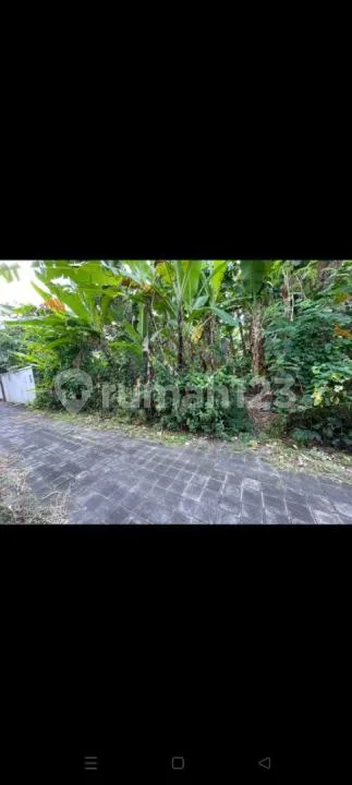 Di Jual Tanah Lokasi Batu Belig Seminyak Badung - Image 4 of 4
