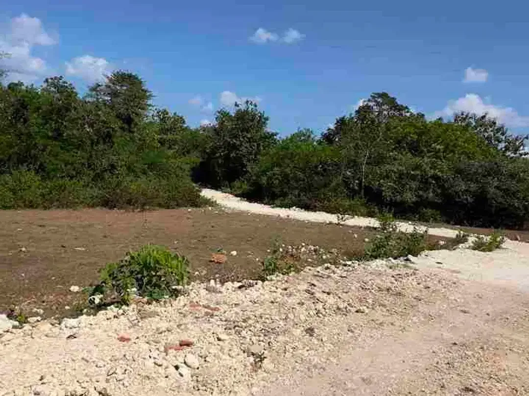 Dijual Tanah Murah 800m2 Posisi Hook Untuk Investasi - Image 5 of 8