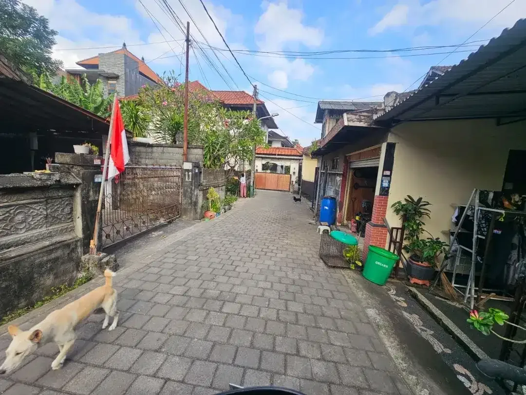 Dijual Tanah Siap Bangun di Ubung Denpasar, Dekat Terminal Ubung – Cocok untuk Rumah Tinggal atau Kos-Kosan - Image 3 of 5