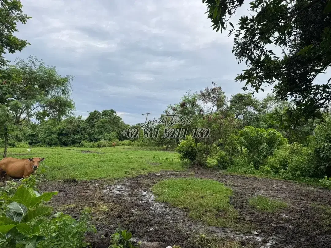 Dijual Tanah Raya Pantai Nyanyi Zona Pariwisata Tabanan - LSADT - Image 2 of 8