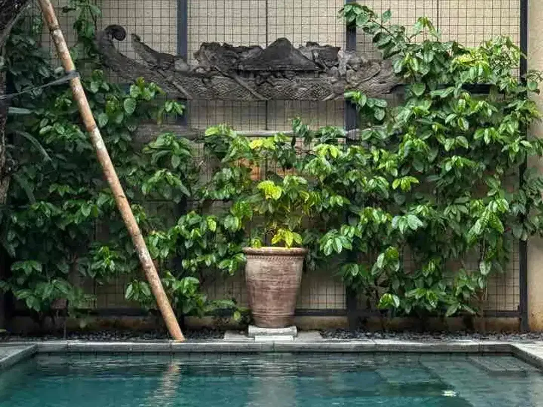 DIJUAL / FREEHOLD : Modern Villa 4 Beds, 1 MILE TO THE BEACH, SEMINYAK - OBEROI - Image 7 of 10