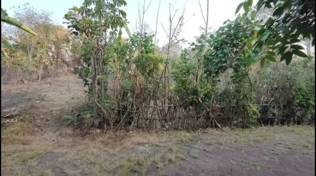 Tanah Cocok Untuk Villa Lokasi Strategis Dekat Tol Nusa Dua - Image 8 of 10