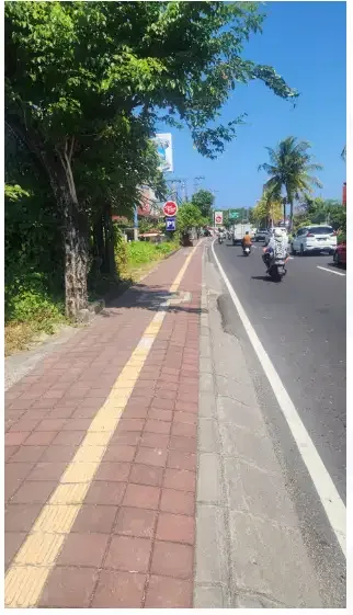 Tanah di Bypass Suwung Denpasar - Image 4 of 6