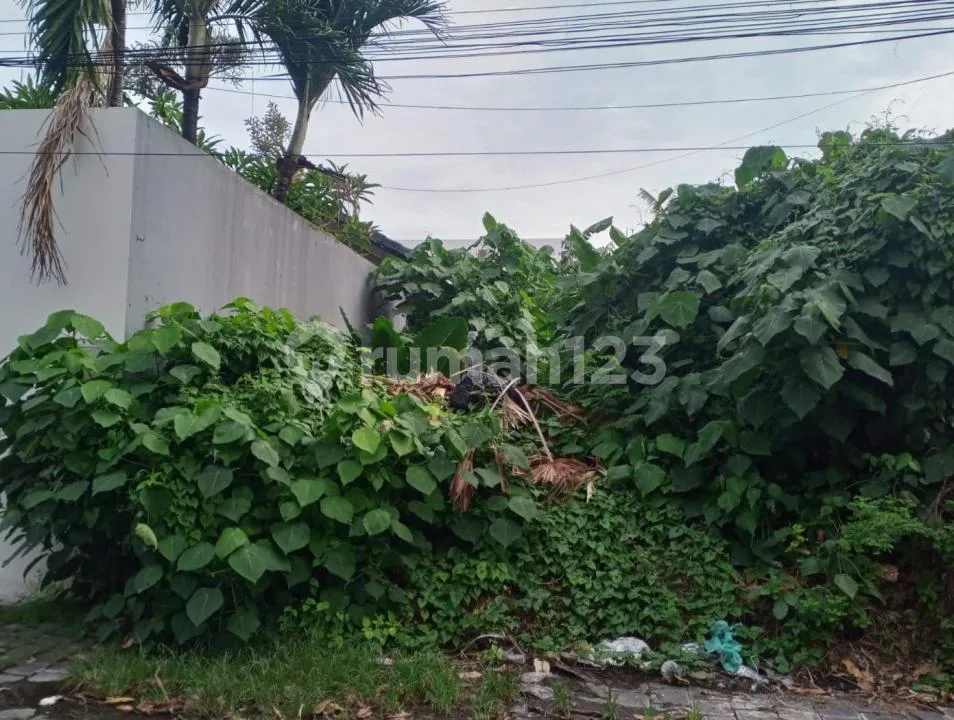 Tanah Zona Kuning Kerobokan Akses 12 Meter #8438 - Image 3 of 4