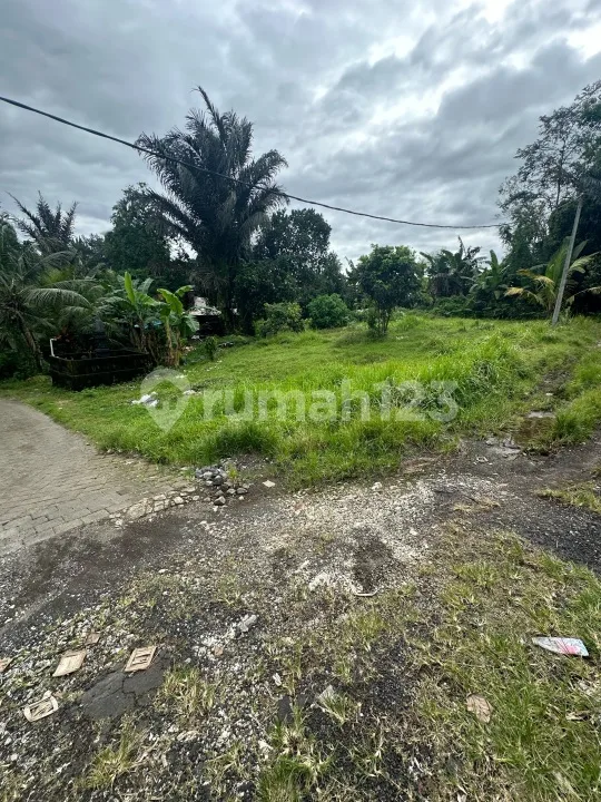 Tanah Murah Abiansemal Dekat Ubud Denpasar dan Tabanan - Image 3 of 4