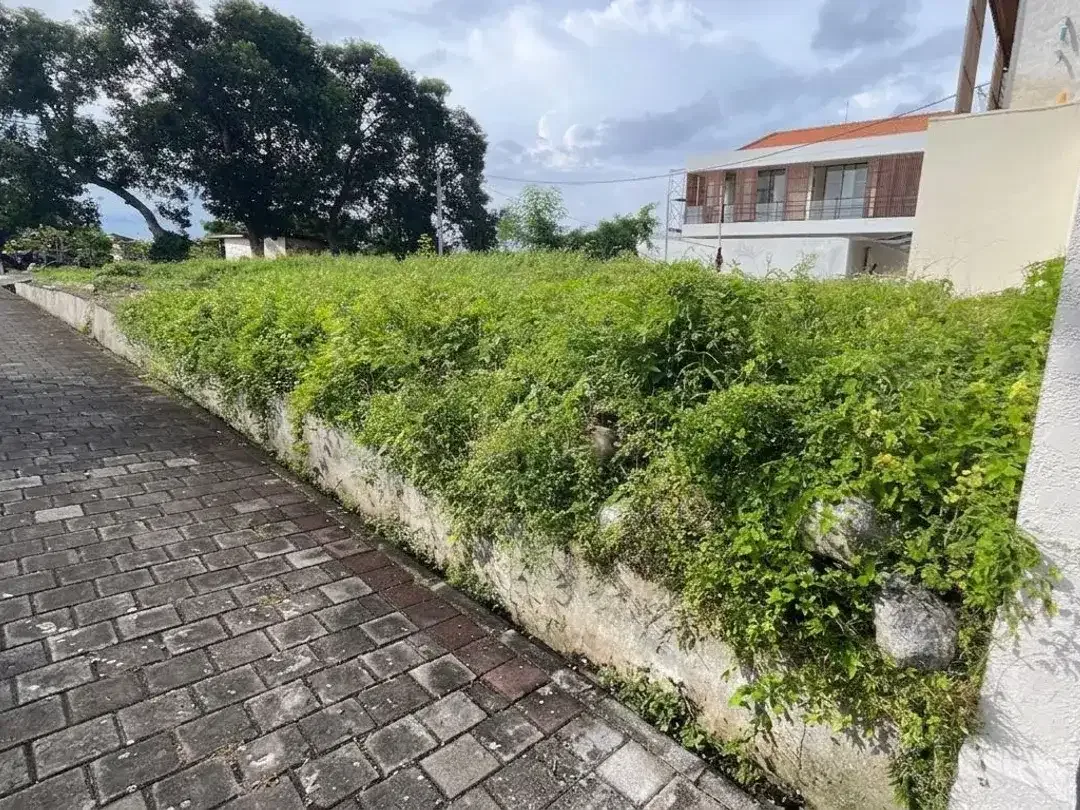 Di jual tanah di Tabanan dekat dengan canggu dan pantai nyanyi bali - Image 6 of 10