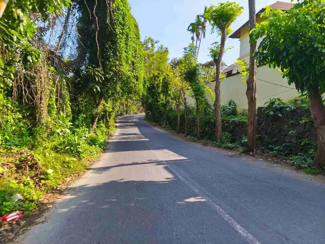 Tanah Jalan Utama Karang Mas Jimbaran Bali - Image 9 of 10