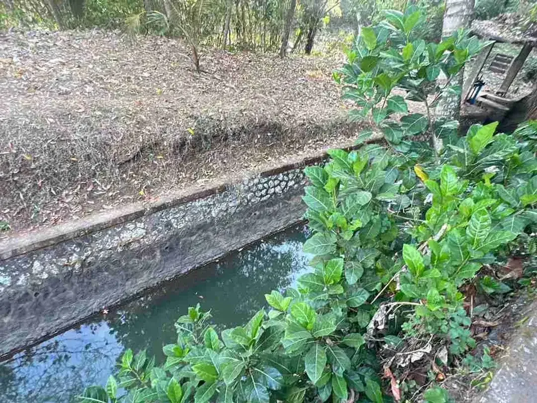 jual tanah kebun view bagus fi tabanan bali. - Image 8 of 10