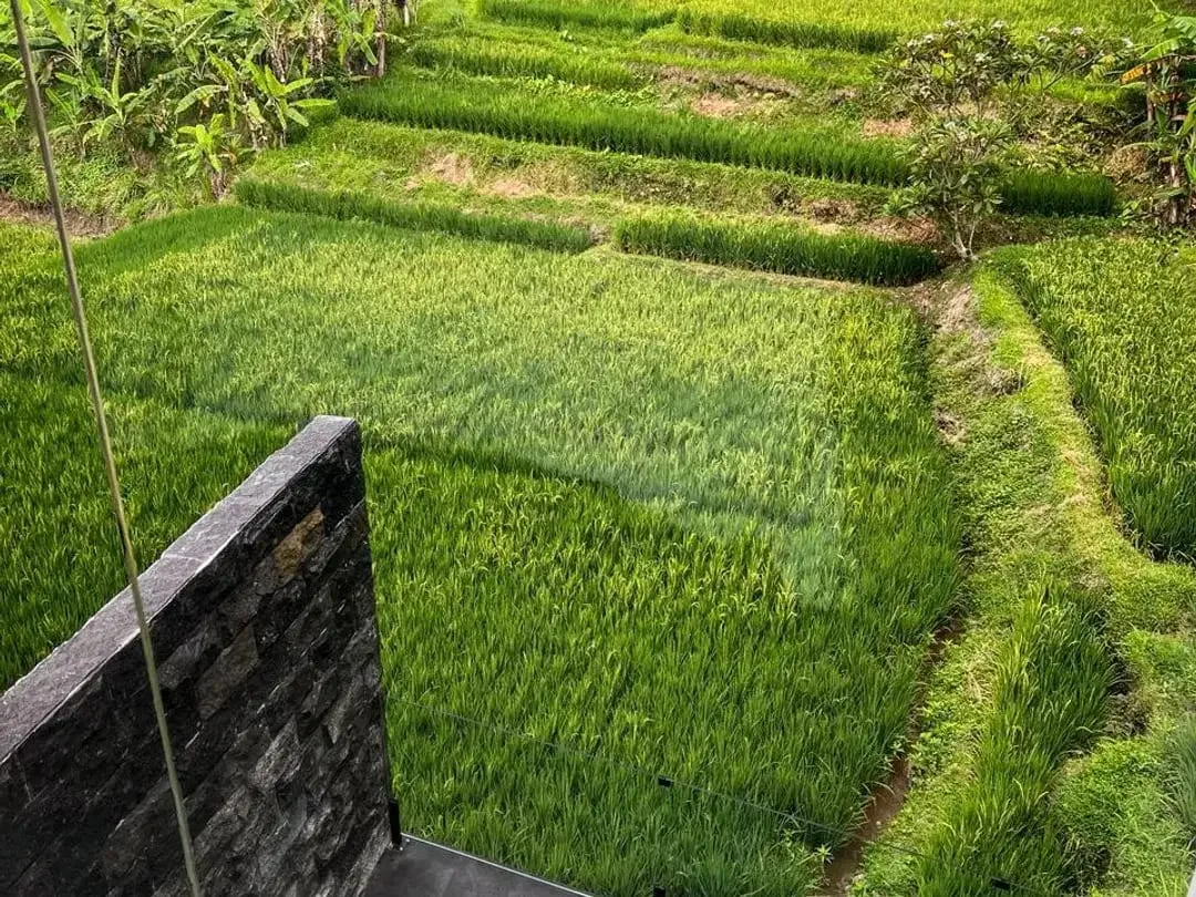 Luxury Rice Field View Villa - 3Br Ensuite - Private Pool - Image 10 of 10