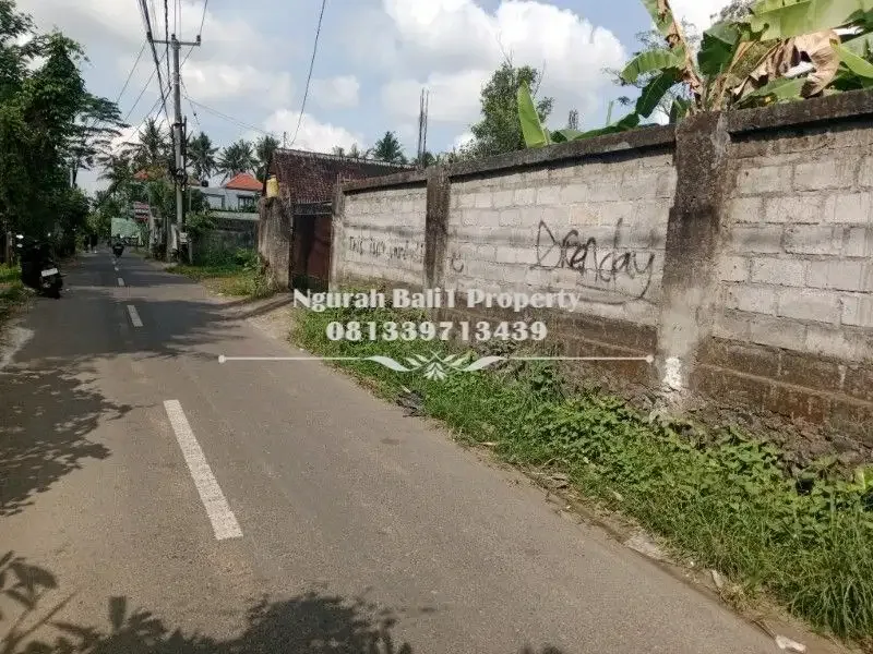 Tanah Murah Disewakan Luas 700 m2 Kawasan Villa di Ubud - Image 2 of 4