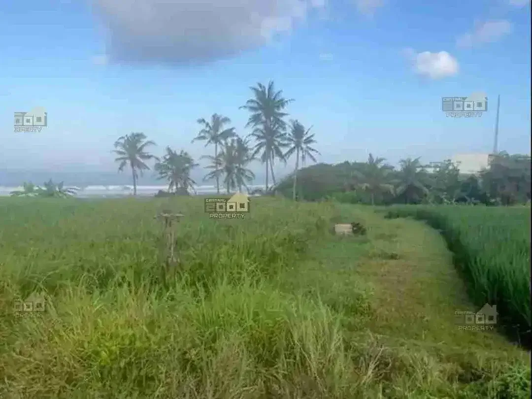 Dijual Tanah Los Pantai Pasut - Tabanan, Bali - Image 4 of 9