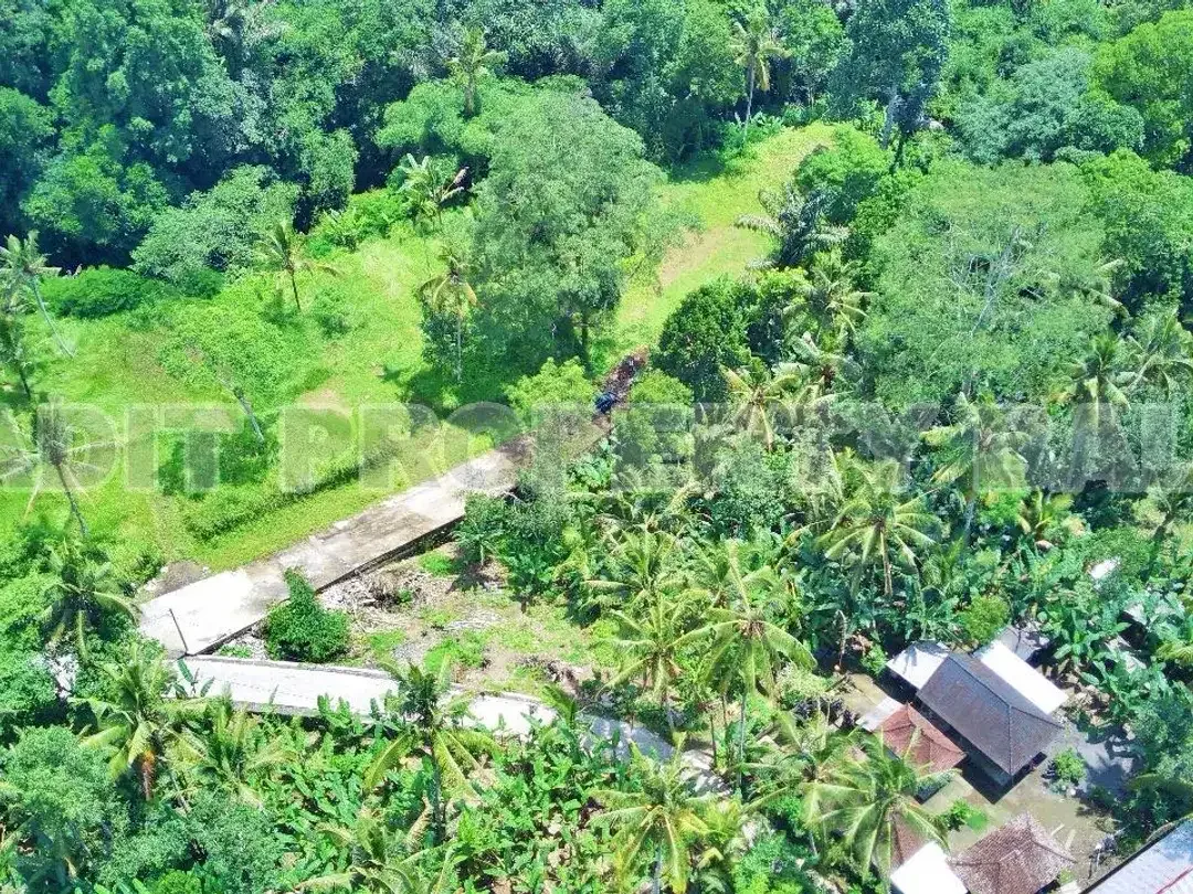 Tanah View Jungle & Sungai Payangan Ubud Gianyar Bali - Image 4 of 10