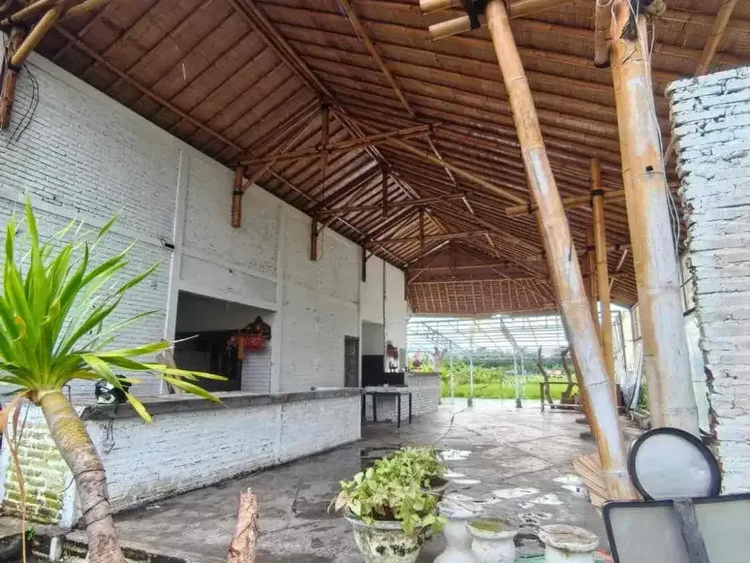 Dikontrakkan Tanah 5 Are Berisi Bangunan Di Umalas Deretan Cafe Nook - Image 3 of 9