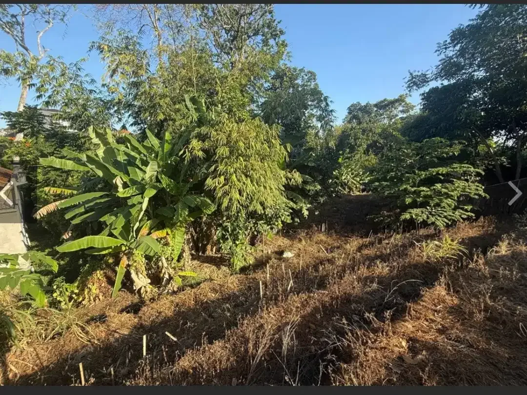 Leasehold - Rare Riverside Leasehold Land in Padonan, Canggu Area - Image 7 of 7