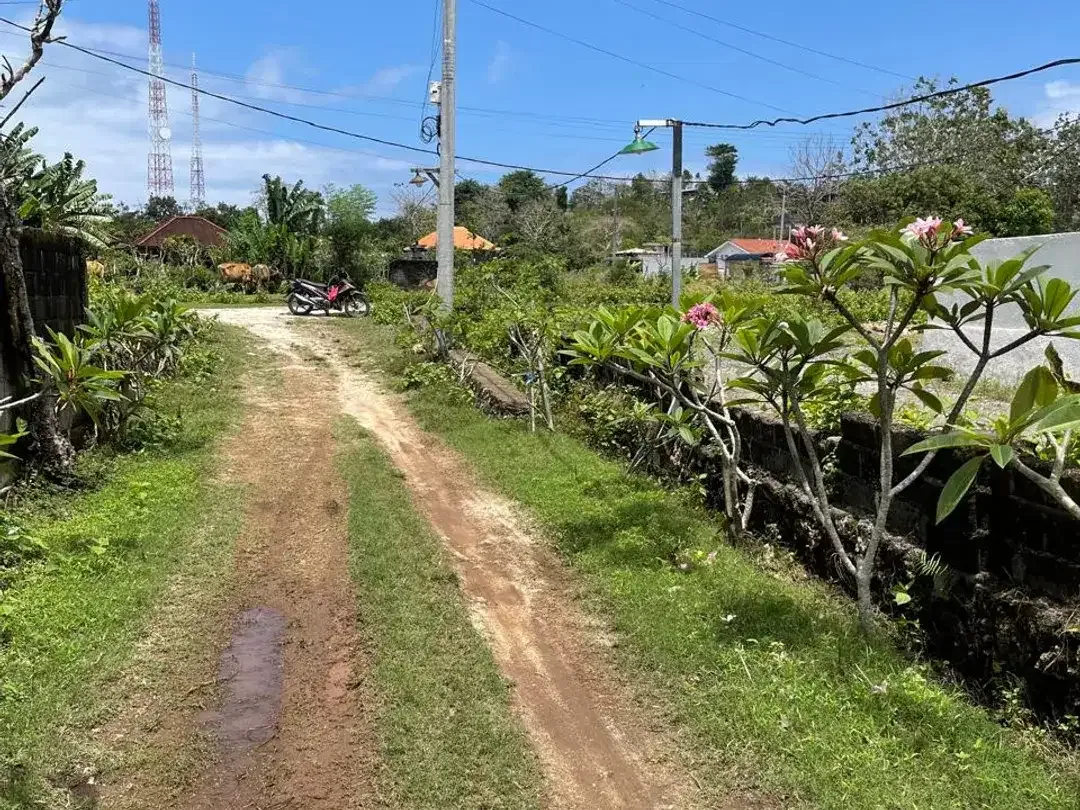 Murah! Tanah 10 Are Berlokasi Goa Gong, Kutuh - Ungasan - Image 6 of 8