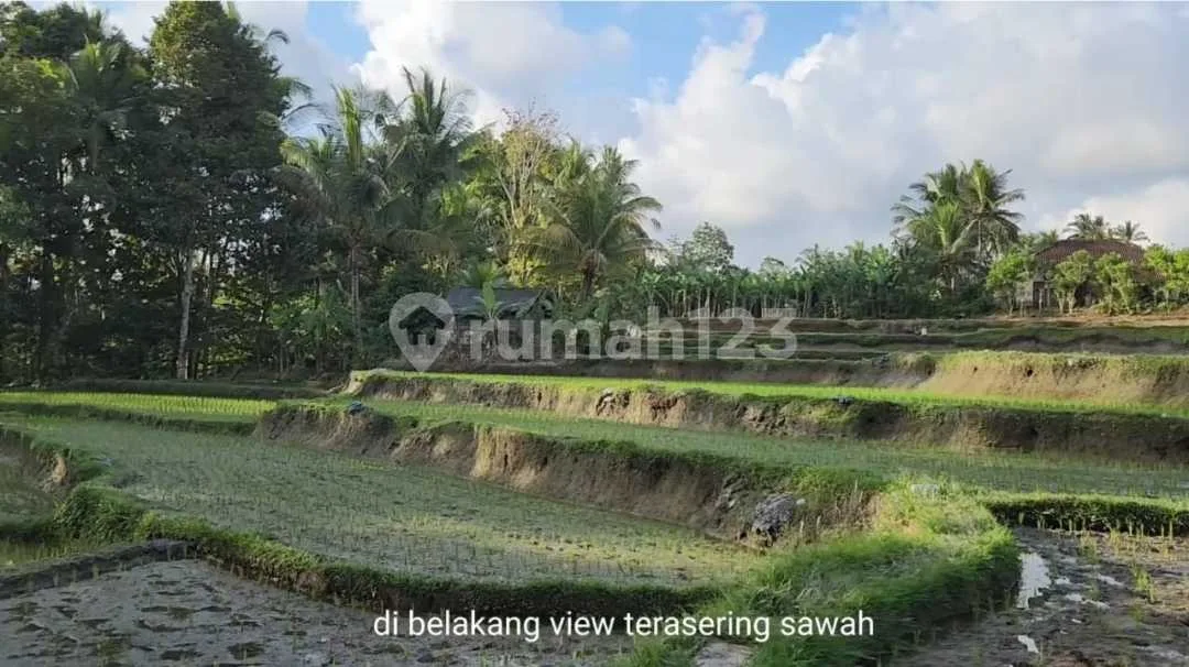 Tanah Komersial Langka Dekat Capella Ubud View Sawah - Image 1 of 4