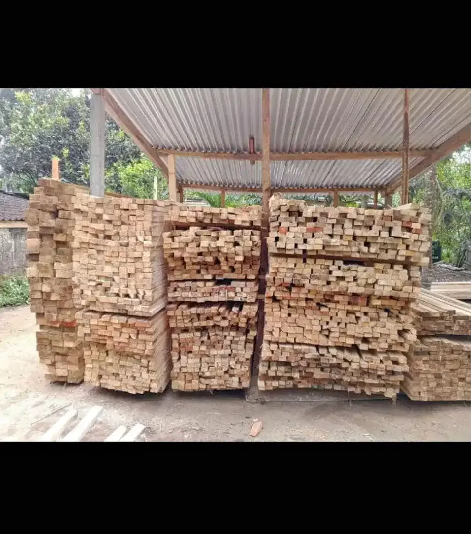 Dijual usuk lokal - Image 4 of 4