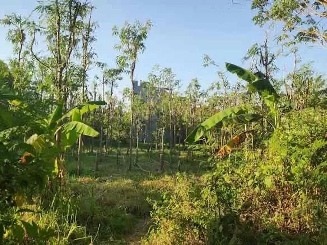 Dijual tanah kavling berlokasi di Jimbaran Bawah - Image 8 of 10