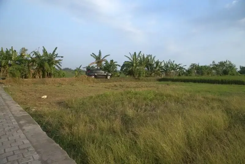Kavling jalan kaki ke pantai Pasut Tabanan - Image 7 of 7