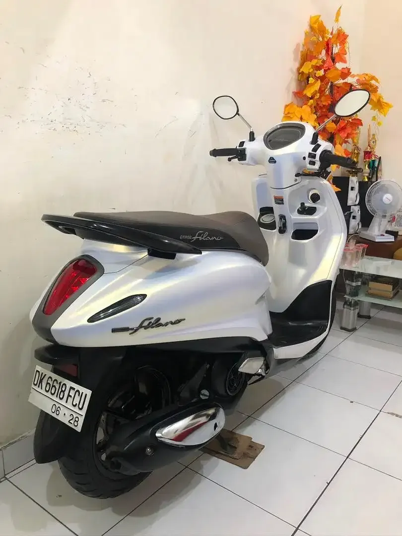 Grand Filano Lux Th.2023!! - Image 8 of 10