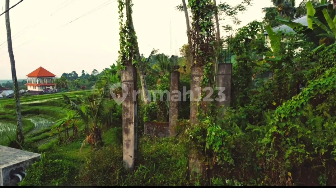Tanah Eksklusif View Alam di Sambangan Buleleng Bali Utara Zona Kuning Dikelilingin Villa dan Hotel Harga Masih 800 Jutaan! - Image 4 of 4