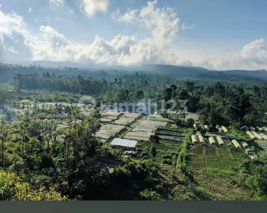 Panoramic Lakeside Land in Bedugul, Perfect for Eco-Resort Development - Image 2 of 4