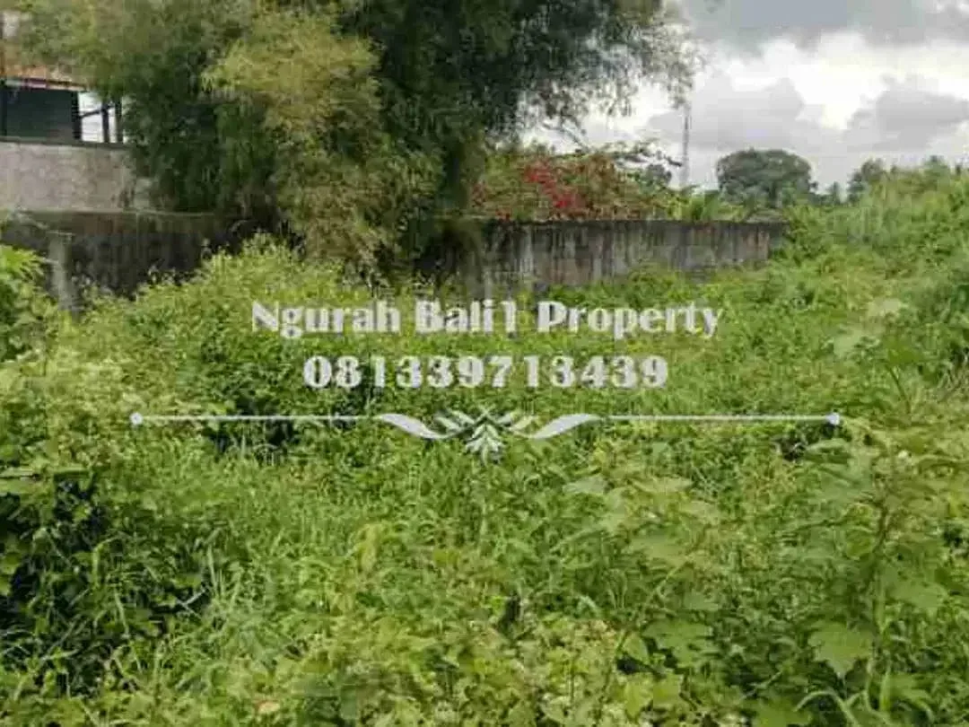 Disewakan Tanah Premium Pinggir Jalan Utama Luas 7 Are Cocok Peruntukan  Usaha - Image 4 of 5