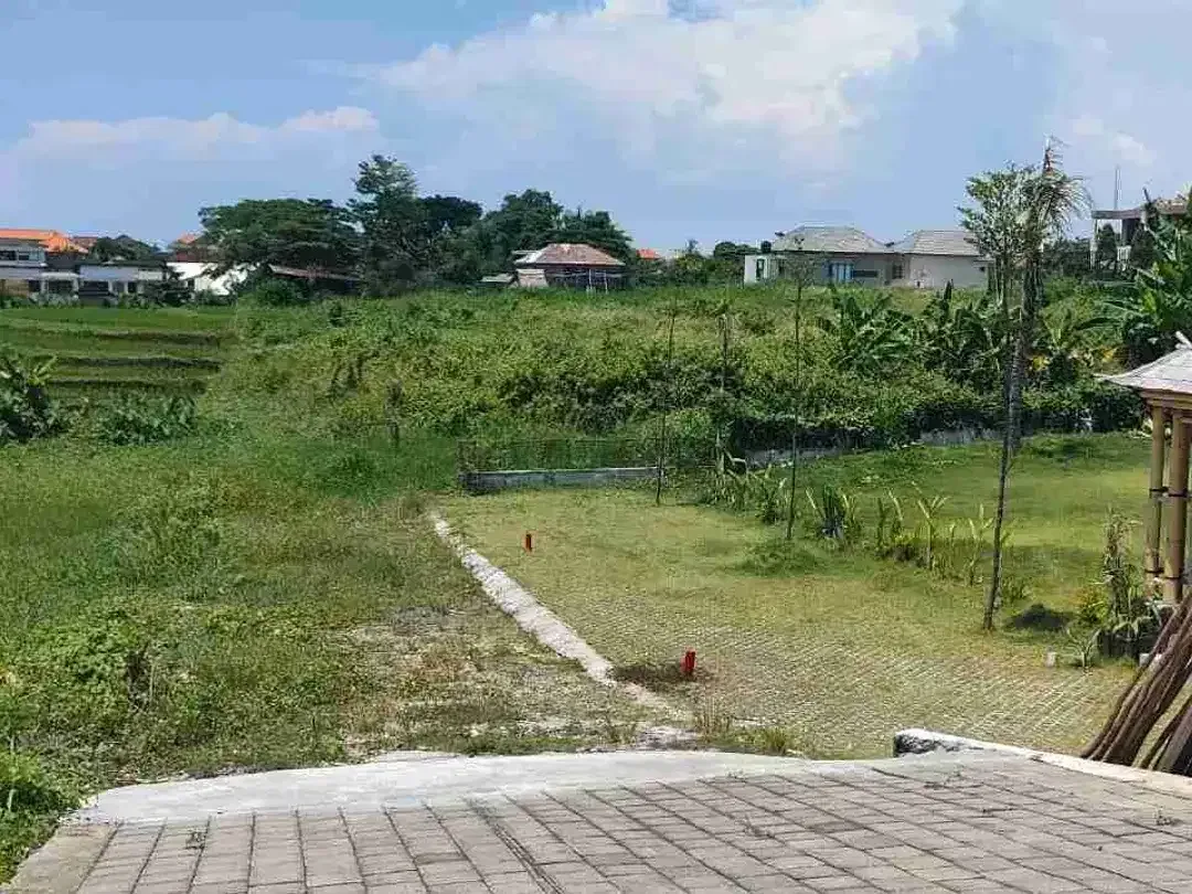 Tanah premium 5 are berawa canggu view sawsh lebar 16,3m 1,650M/are dekat ATLAS & FINS BEACH - Image 2 of 10