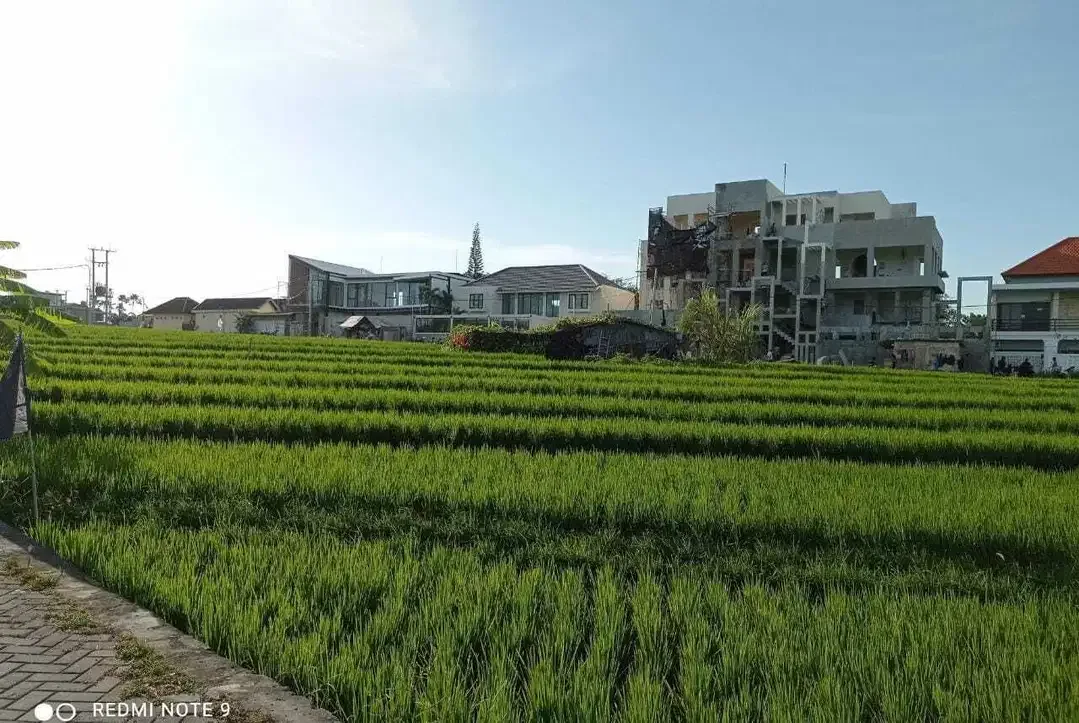 Tanah View Sawah Terasering Dekat Pantai Berawa Canggu - Image 3 of 10