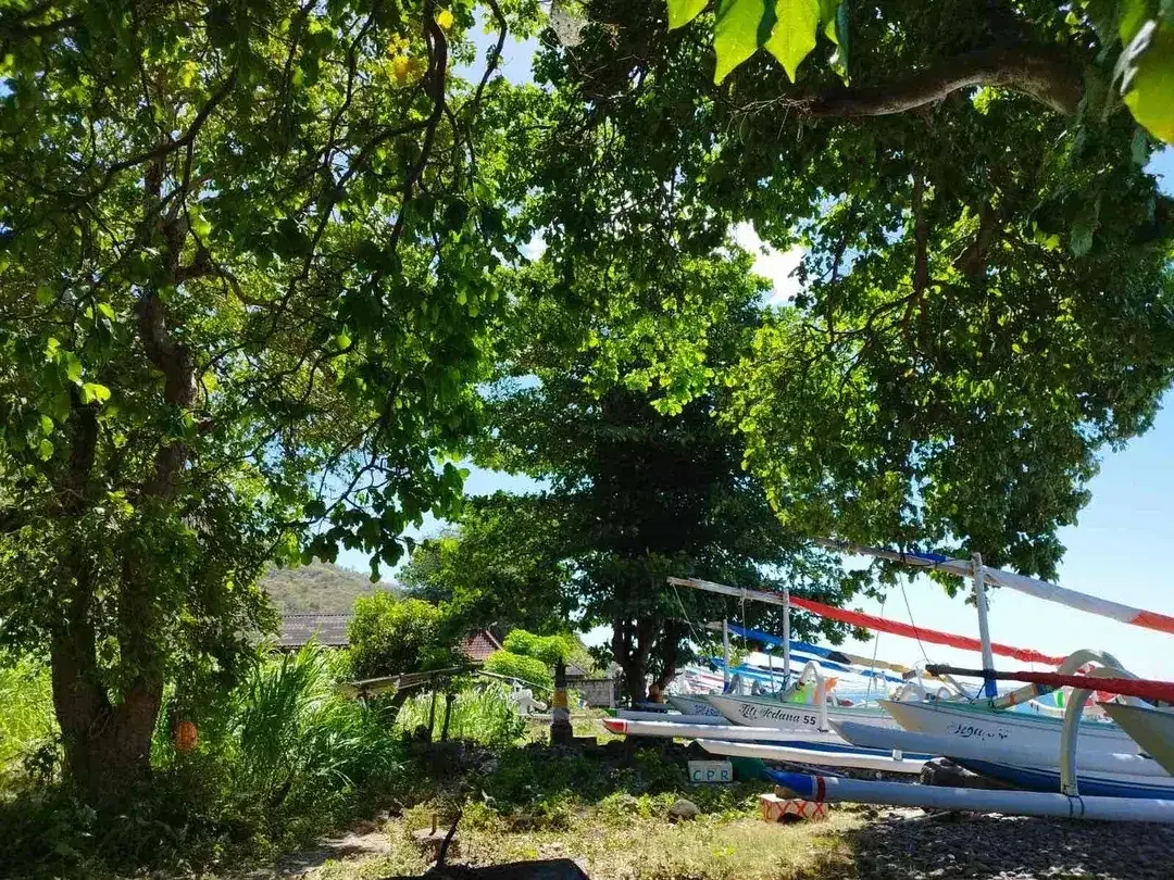 Tanah Beach Front Amed Bali - Image 4 of 10