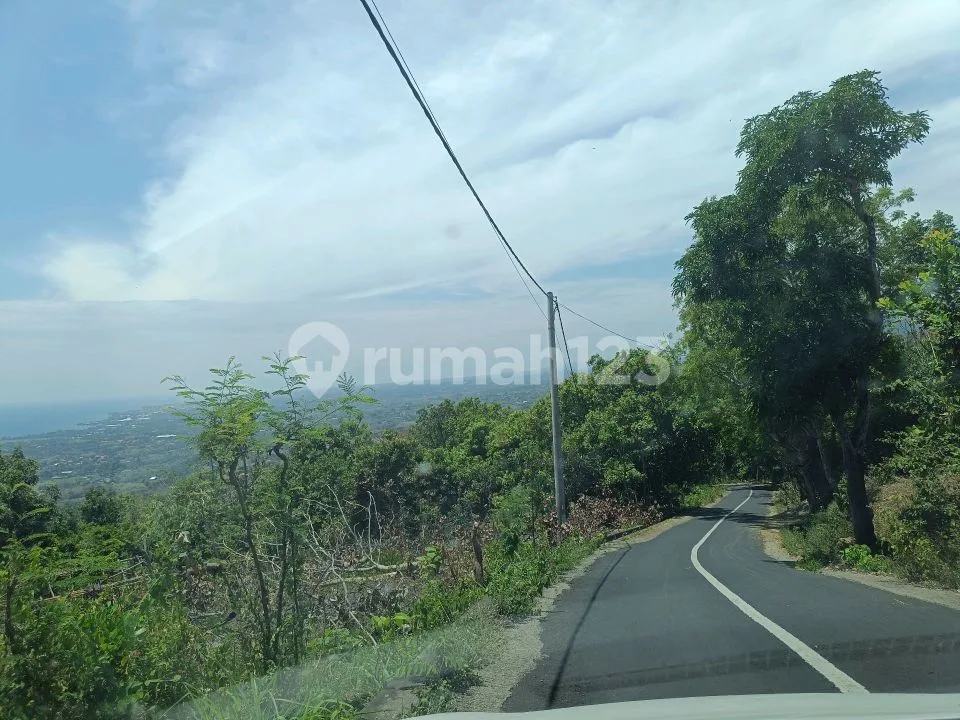 Buc For Sale Ocean View On Aspal Road Good For Villa - Image 2 of 4